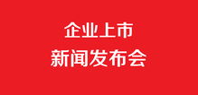 企業(yè)上市發(fā)布會與企業(yè)形象策劃 雙輪驅(qū)動，共鑄品牌新篇章